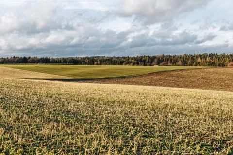 Fields with clouds and a forest in the background Stock Photos