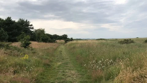 Fields in Cloudy Weather 4K Walk Walking Lifestyle Nature Stock Footage 114776430