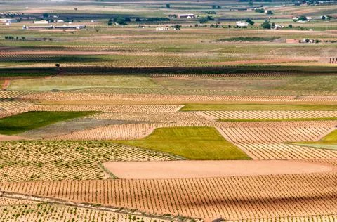 Fields of Consuegra Stock Photos