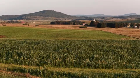 Fields of corn and grass blend into a larger agricultural landscape rich in.. Stock Footage 315162107
