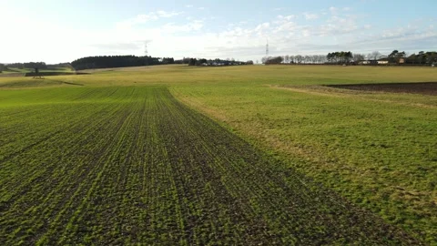 Fields in the countryside from above on a sunny day without snow in winter Stock Footage 251821140