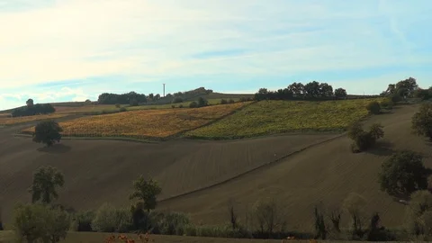 Fields in the Countryside Stock Footage 86522858
