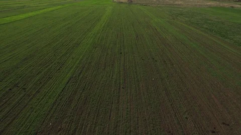 Fields covered with soil Stock Footage 129633459