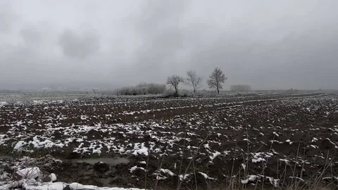 Fields covered with thin layer of snow in late winter Stock Footage 87569342
