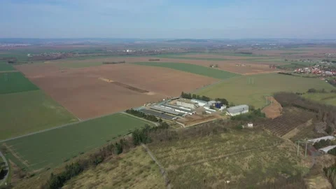 Fields cowshed farm field intensive dairy cows feeding barn drone aerial video Stock Footage 166540355