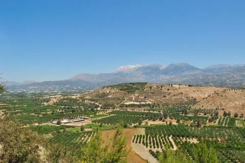 Fields on Crete Stock Photos