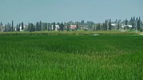 Fields &amp; Crops Stock Footage 113322038