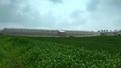 Fields &amp; Crops Stock Footage 113322053