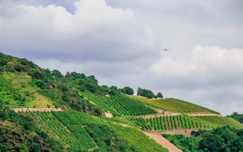 Fields of crops on a mountain while an airplane irrigates them Stock Photos