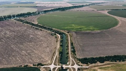 Fields with crops Stock Photos