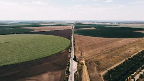 Fields with crops Stock Photos