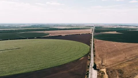 Fields with crops Stock Photos