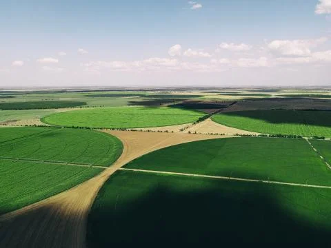 Fields with crops Stock Photos