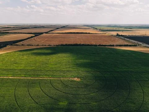Fields with crops Stock Photos