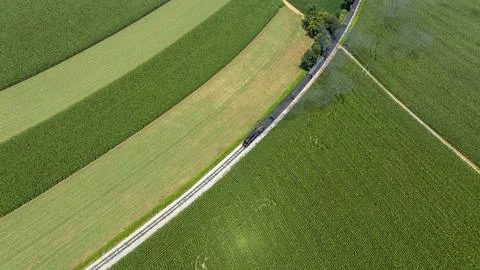 Fields of Crops Stretch Along the Winding Road in the Countryside During Da.. 스톡 사진