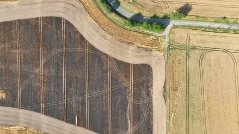 Fields damage fire burnt barley after blaze drone aerial wild drought dry flame Stock Footage 201631905