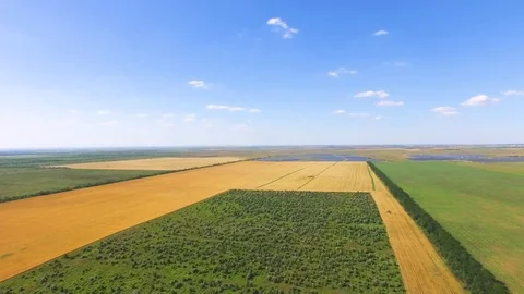 Fields with different agricultural crop types, aerial video Stock Footage 78115576