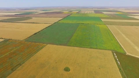 Fields with different agricultural crop types, aerial video Stock Footage 78116826