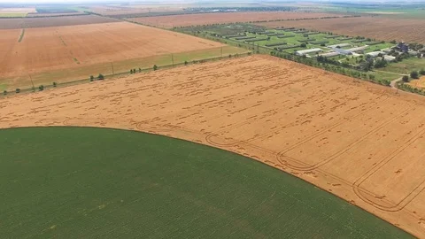 Fields with different crop types, aerial video Stock Footage 78116736