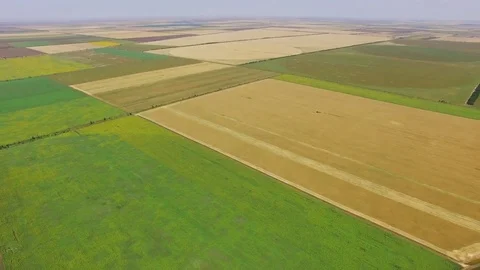 Fields with different crop types, aerial video Stock Footage 78116841