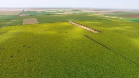 Fields with different crop types, aerial video Stock Footage 82217205