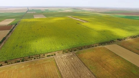 Fields with different crop types, aerial video Video stock 82217211