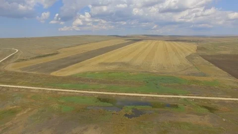 Fields with different crop types, aerial video Stock Footage 114273189