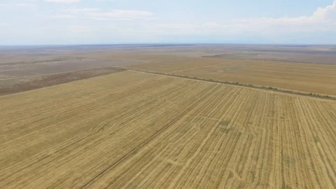 Fields with different crop types, aerial video Stock-Footage 114288679