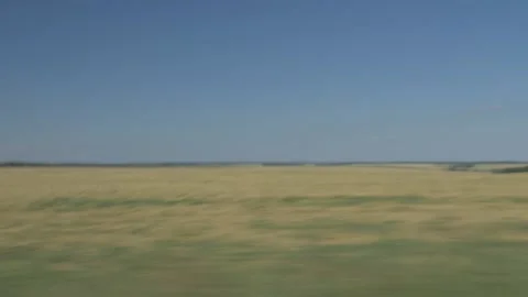 Fields from a driving car Stock Footage 141798715