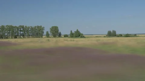 Fields from a driving car Stock Footage 141798735