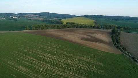 Fields during spring sunset. Stock Footage 108320242