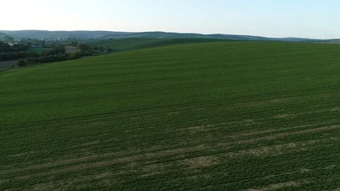 Fields during spring sunset. Stock Footage 108320807