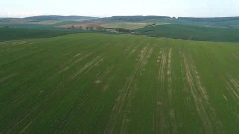 Fields during spring sunset. Stock Footage 108367949