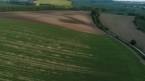 Fields during spring sunset. Stock Footage 108368259