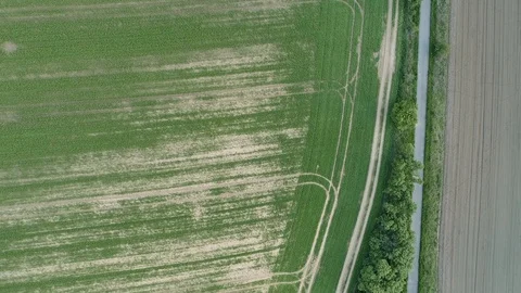 Fields during spring sunset. Stock Footage 108368510