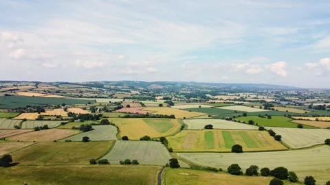 Fields of England Stock Footage 318489395