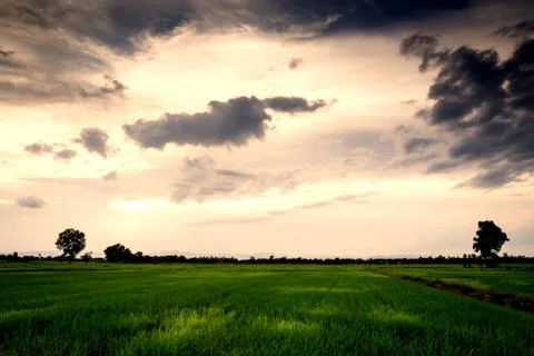 Fields with an evening sky with clouds. Stock Photos