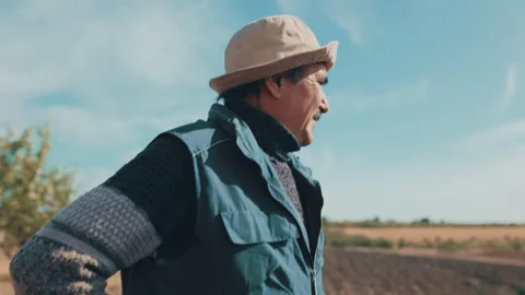 Fields of Experience Active Senior Engaged in Agricultural Activity Stock Footage 273983300