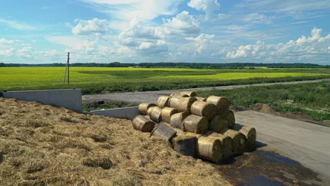 Fields in a farm, countryside, hay stack, silage, silo. Summer agriculture Stock Footage 134809265