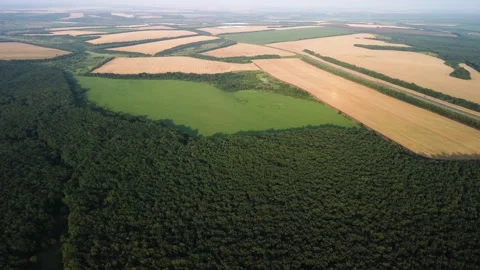 Fields farm forest and high road with quadrocopter Stock Footage 164101203