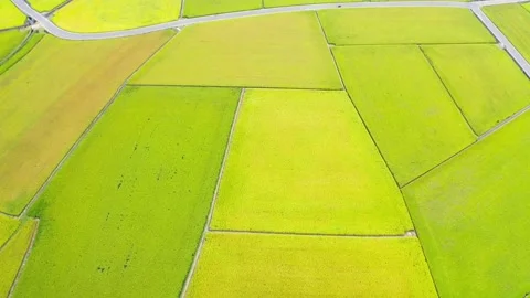 Fields farm on hilly or landscape terrain, normally farming in east south and Stock Footage 256725915