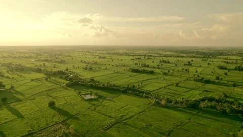 Fields farm on hilly or mountainous terrain, normally farming in east south a Stock Footage 256731226