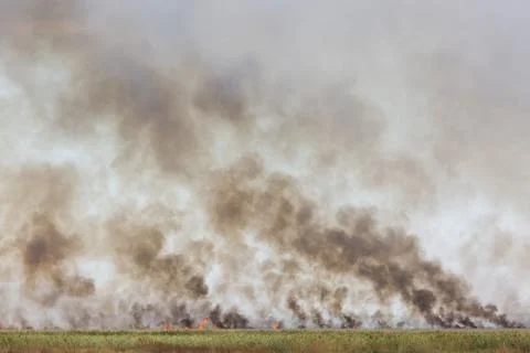 Fields of fire Stock-Fotos