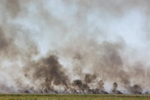Fields of fire Stock Photos