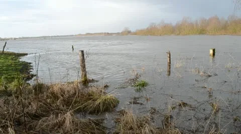 Fields flooded by high water Stock Footage 11136047