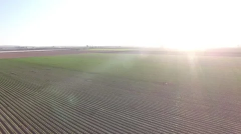 Fields Fly Over Video stock 68750902