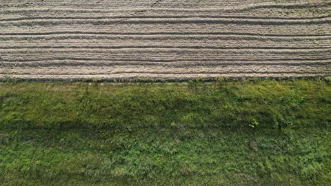 Fields In Focus: Long Aerial 4K Drone Glide Over Sandy And Grassy Landscapes Видео 249399201