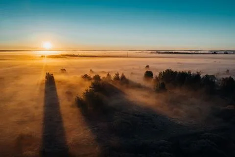 Fields with fog on autumn mornings and long shadows from trees Stock Photos