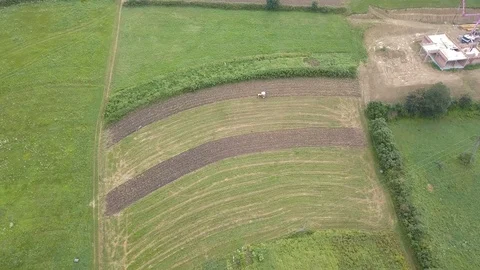 Fields fool of weeds before harvesting.	 Vídeos de archivo 94083049