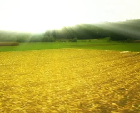 Fields Stock Footage 10717964
